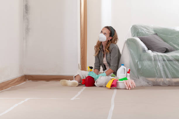 Reliable Mold Testing contractor in Knoxville, IL by WQB Mold Removal